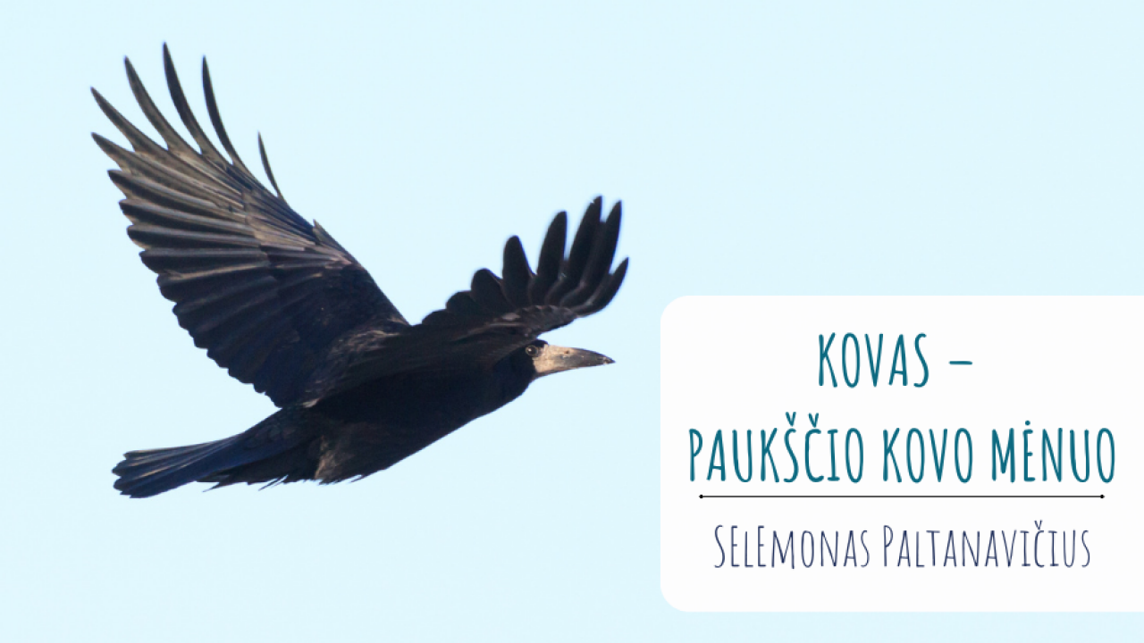 KOVAS –  paukščio kovo mėnuo