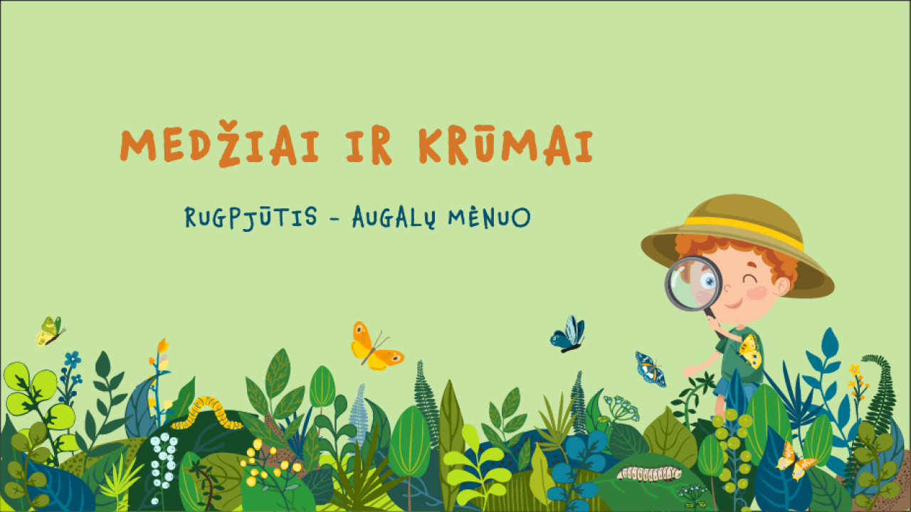 Medžiai ir krūmai 1,5-3 metų vaikams