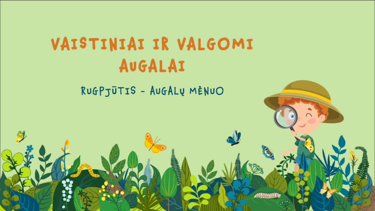 Vaistiniai ir valgomi augalai 1,5-3 metų vaikams