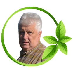 Selemonas Paltanavičius