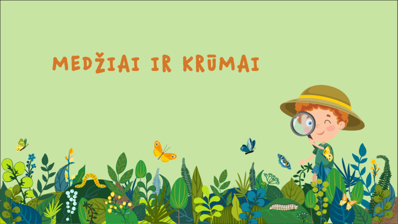 Medžiai ir krūmai – parodomoji pamokėlė pedagogams