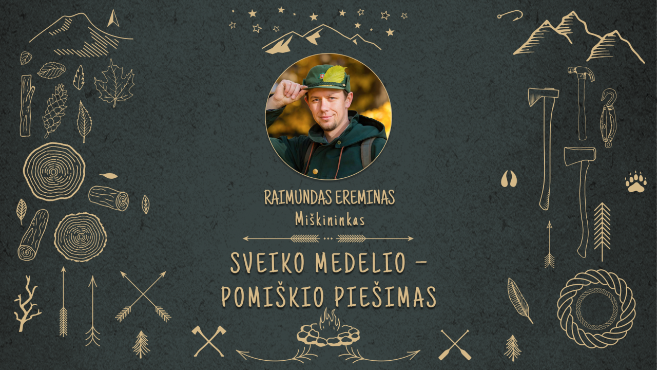 Sveiko medelio – pomiškio piešimas