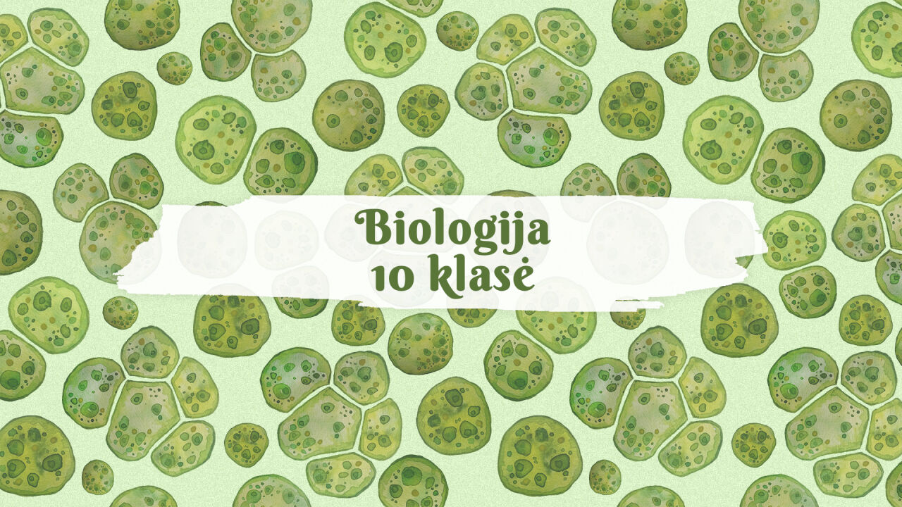 Biotechnologijos ir jų reikšmė