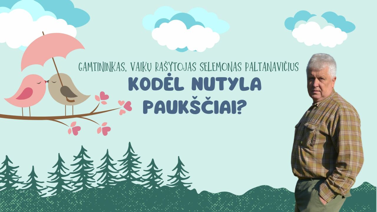 Kodėl nutyla paukščiai?