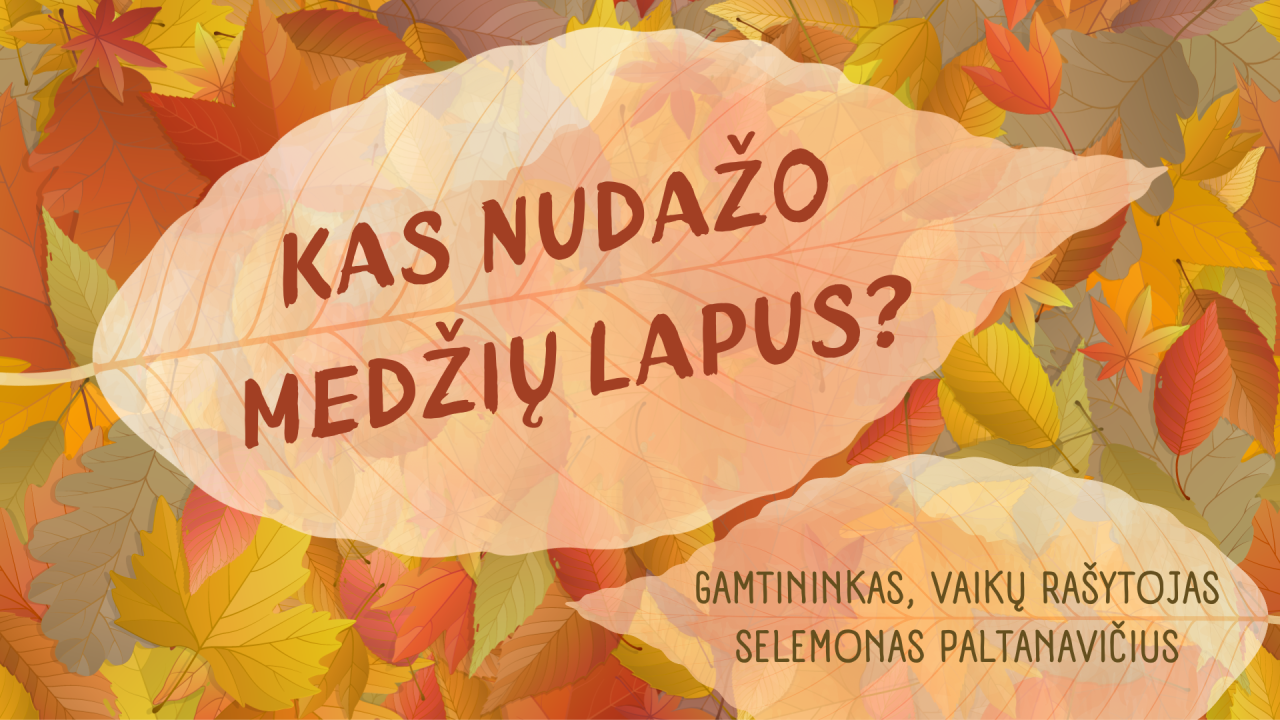 PASAULIO PAŽINIMAS: Kas nudažo medžių lapus